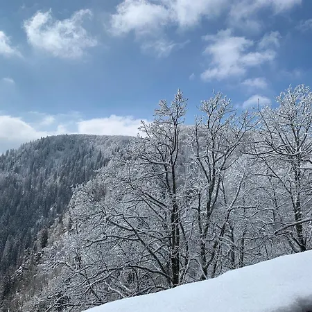 Le Panorama Apartment *