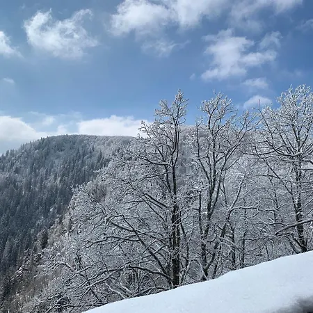 Le Panorama
