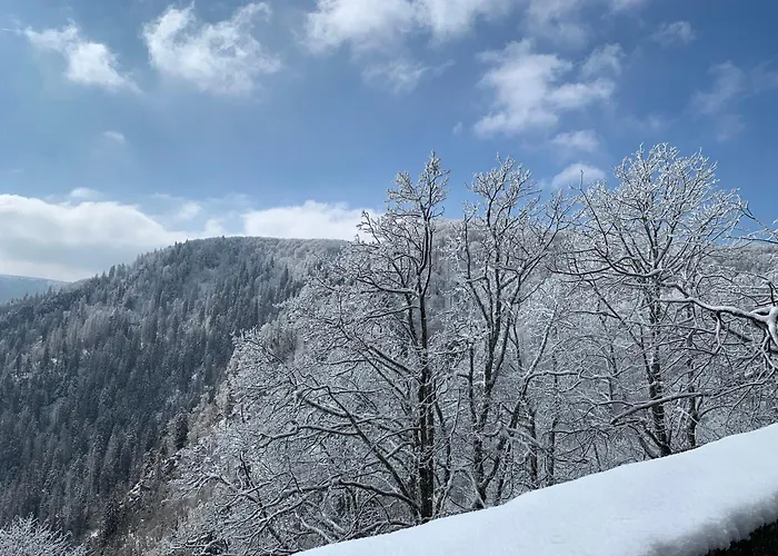 Le Panorama 公寓 *